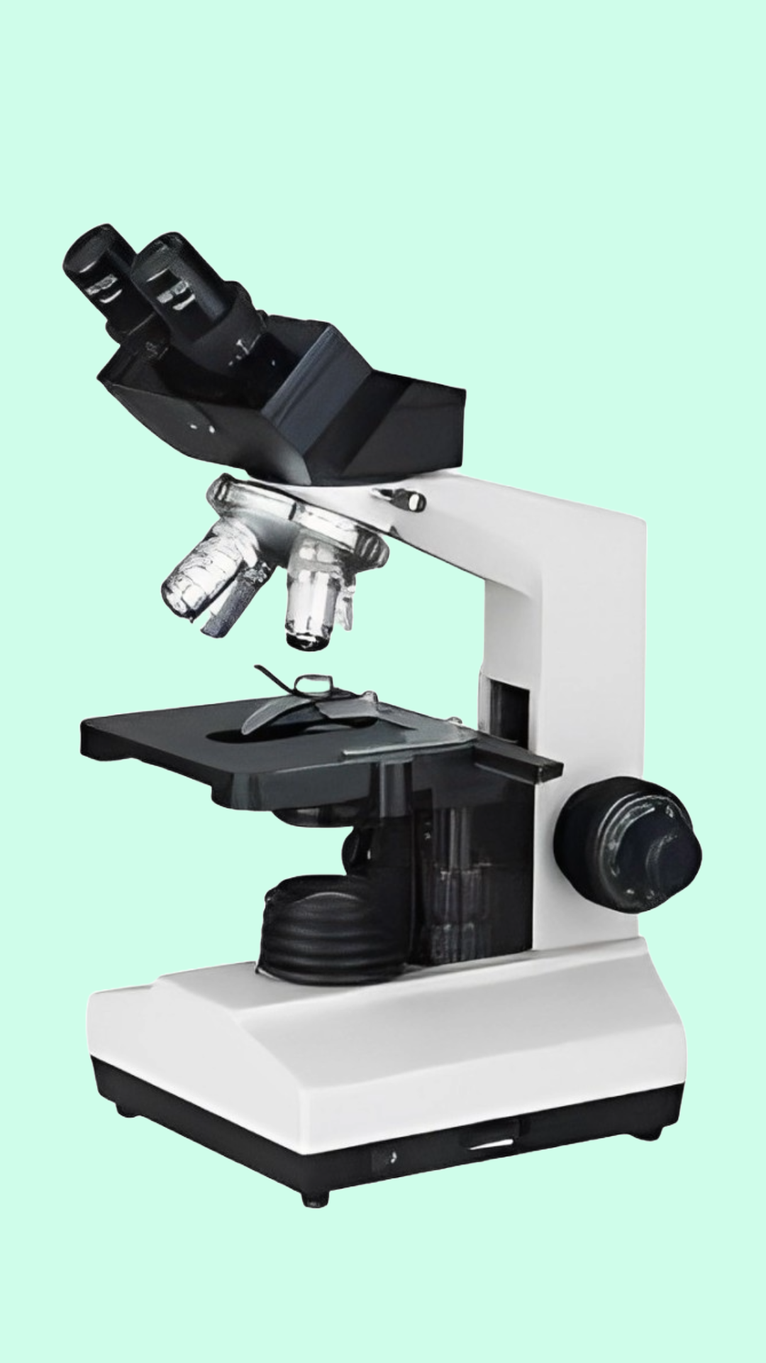 Phase Medical Supplies